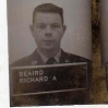 Rich Beaird's Hahn