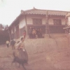 Denman's Korea Tour