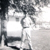 Bordne
