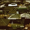 Koza