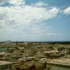 Koza