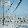 Antenna Frost