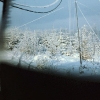 Winter View