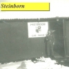 Ken Vivenzio's Steinborn