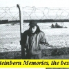 Ken Vivenzio's Steinborn