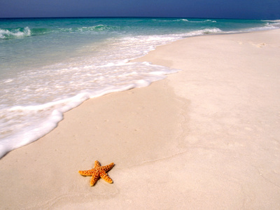 Santa Rosa Island