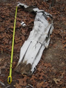 Horizontal Stabilizer - Crash site #1 (photo courtesy of Gary Quigg)