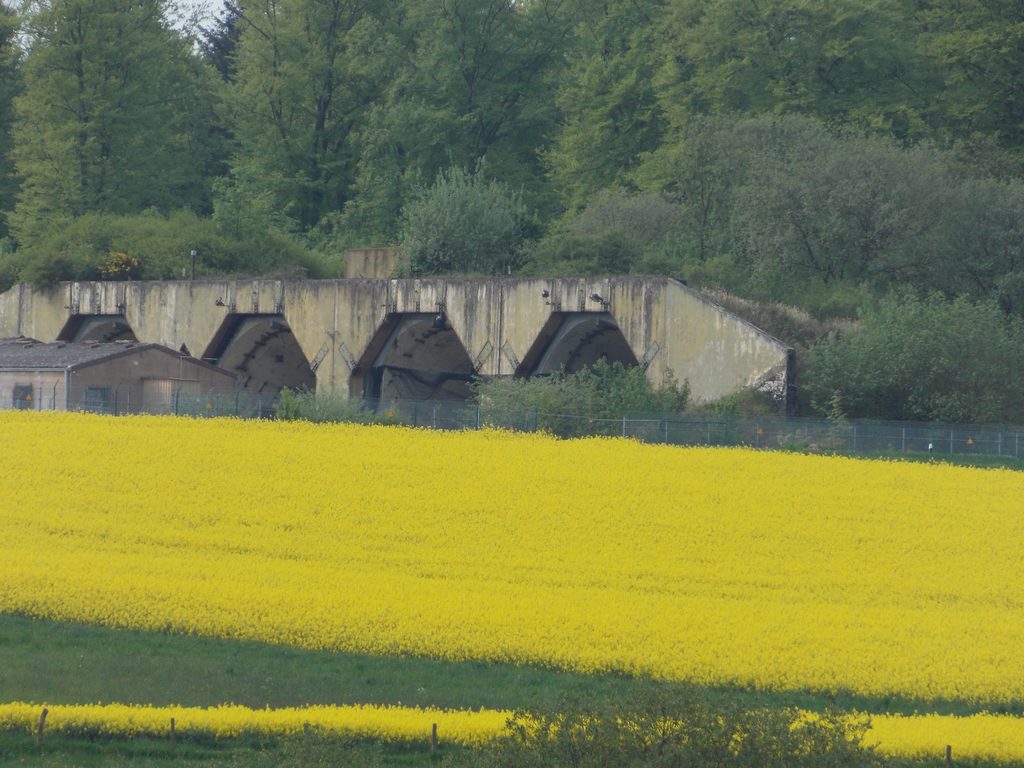 Bitburg Site VIII (photo courtesy of Jim Kidd)